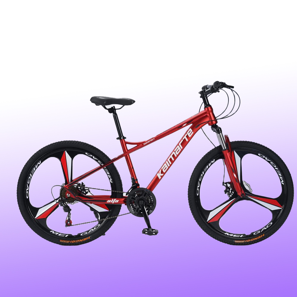 Bicicleta de Montanha Personal - Mountain Biking Europe avaliação e preço